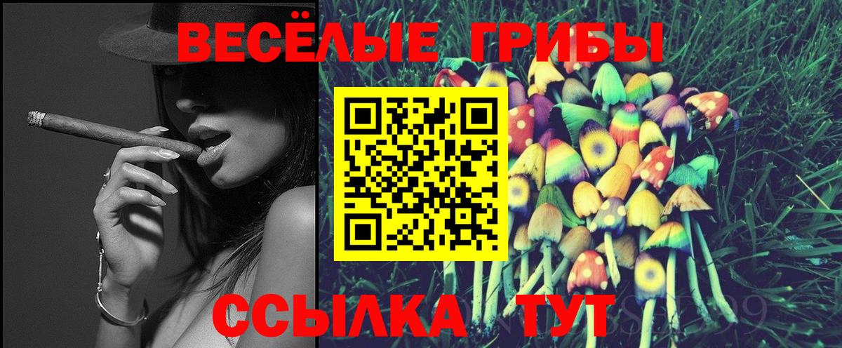 Псилоцибиновые грибы GOLDEN TEACHER  Вход с VPN  Псилоцибиновые грибы Psilocybine cubensis  купить закладку  Волхов 