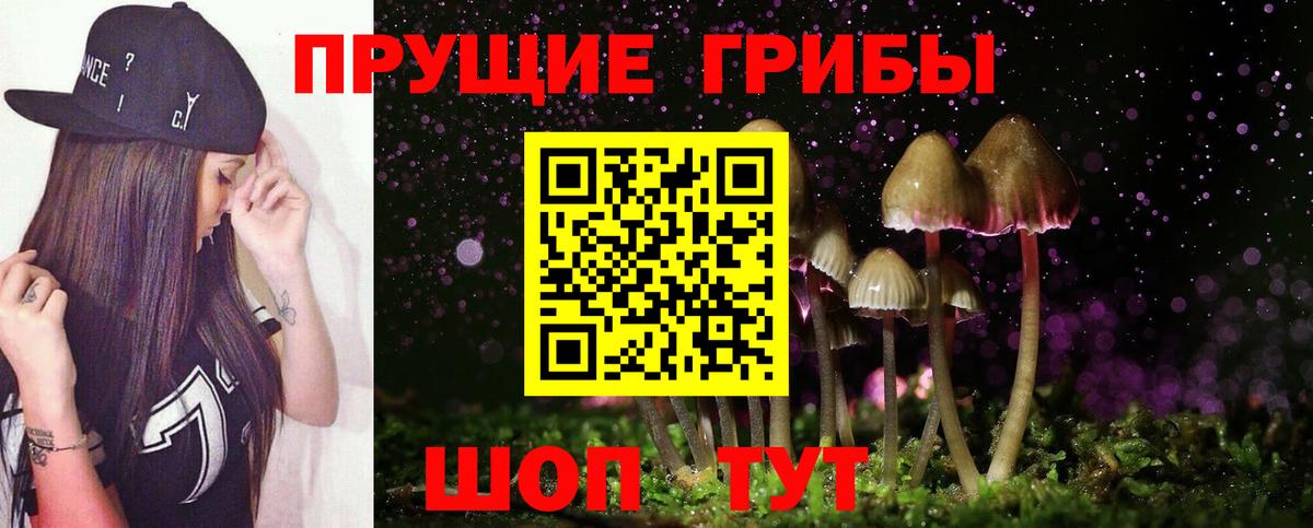 Псилоцибиновые грибы мицелий Волхов
